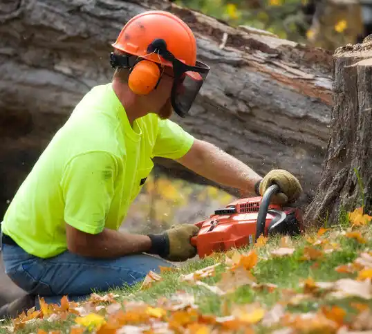 tree services Gardiner